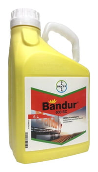 Bandur 600 SC/5 L