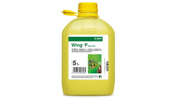 Wing P 462,5 EC/5 L
