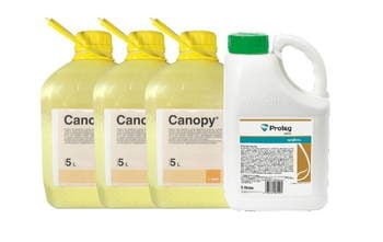 Canopy/5L*3+Proteg 250 EC/5L*1