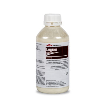 Legion/1L