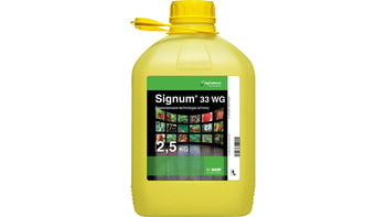 Signum 33 WG/2,5kg