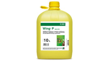 Wing P 462,5 EC/10L