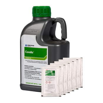 Corello+Dragon/1,06*1+33g*6