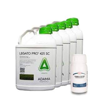 Legato Pro +Tribex/5L*5+0,1*1