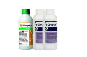 Marpica+Conatra/1x1L+2x1L