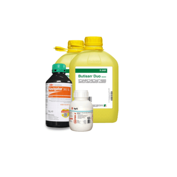 Butisan Duo 5*2+Navigator 1*1 + Bufor 0,5*1