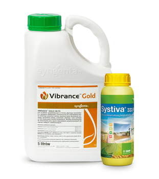 Vibrance Gold 100 FS_5L*1 +Systiva 333 FS_5L*1