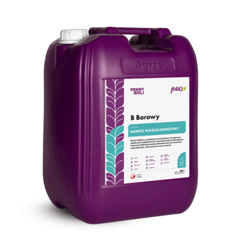 foliQ® B Borowy_20L