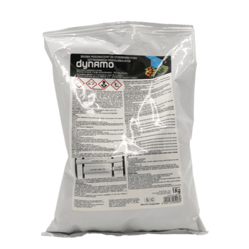 Dynamo_1kg