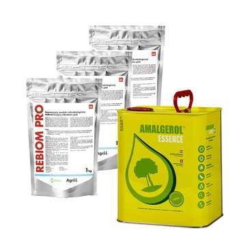 ReBiom Pro_1 kg x 3 + Essence Amalgerol/15Lx1