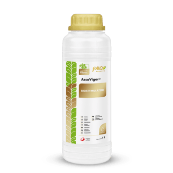 foliQ® AscoVigor+_1L
