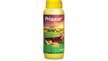 Priaxor/1L