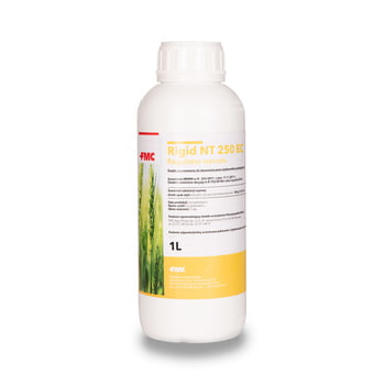Rigid NT 250EC/1 L