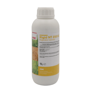 Rigid NT 250EC/1 L