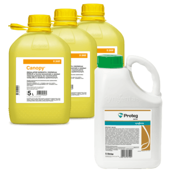 Canopy/5L*3+Proteg 250 EC/5L*1