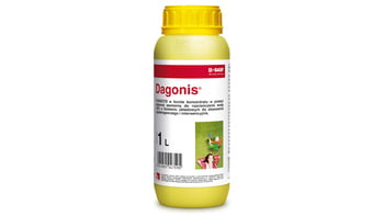 Dagonis/1 L