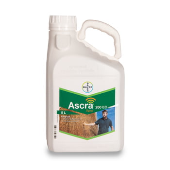 Ascra XPRO EC 260/5 L