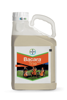 Bacara Trio 516 SC/5L