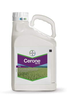 Cerone 480 SL/5L