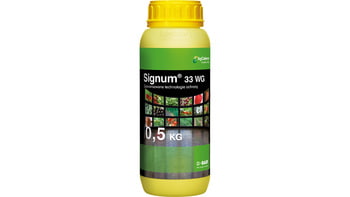 Signum 33 WG/0,5kg
