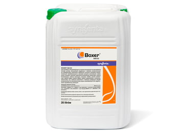 Boxer 800 EC/20L