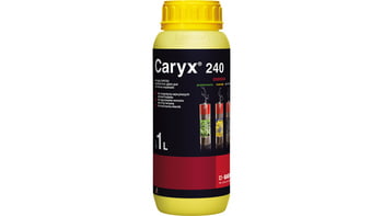 Caryx 240 SL/1L