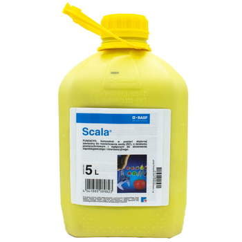 Scala/5L
