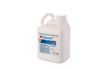 Glosset SC5L