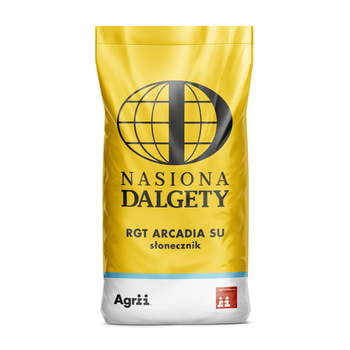 Słonecznik ES Arcadia SU