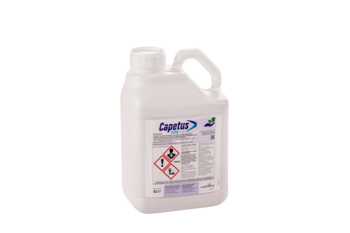 Capetus Extra 250 EC/5 litrów