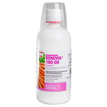 Benevia/0,25L