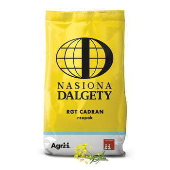 Rzepak oz. hybryd Cadran C/1 BUTEO Start+ Integral Pro