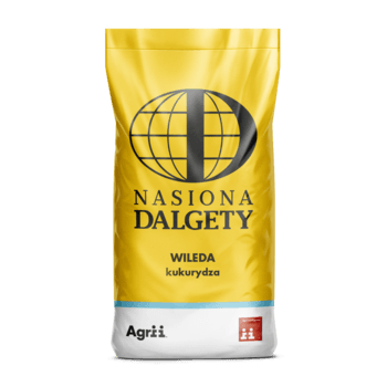 Kukurydza Wileda C/1_80 tys
