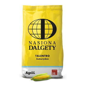 Kukurydza Talentro C/1_80 tys. Lumiposa