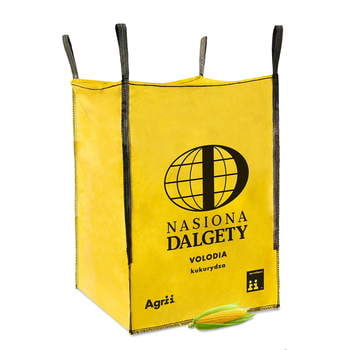 Kukurydza Volodia C/1 BB Korit + Lumiposa