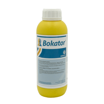 Bokator_1L
