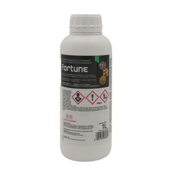 Fortune_1L