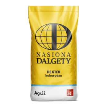 Kukurydza Dexter C/1 80 tys. nas. KORIT