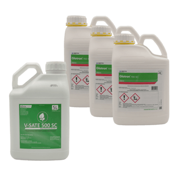 Glotron 5Lx3 + V sate 5L x1