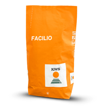 Kukurydza Facilio 50tys _C/1 KORIT