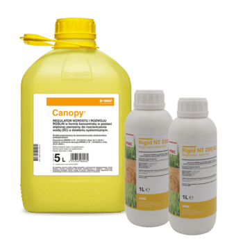 Canopy 5L x1+ Rigid NT 250 EC_1Lx2