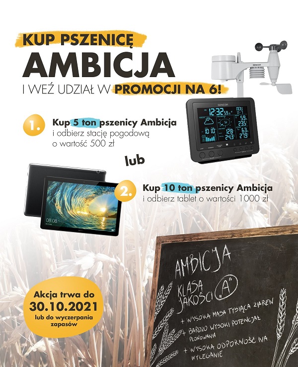 Promocja pszenica Ambicja na&nbsp;6 - Agrii