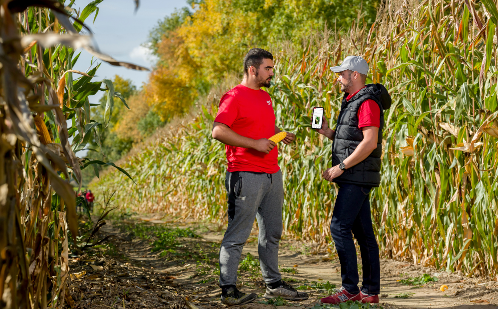 AgriiBaza Doradca Agrii rozmawia z klientem