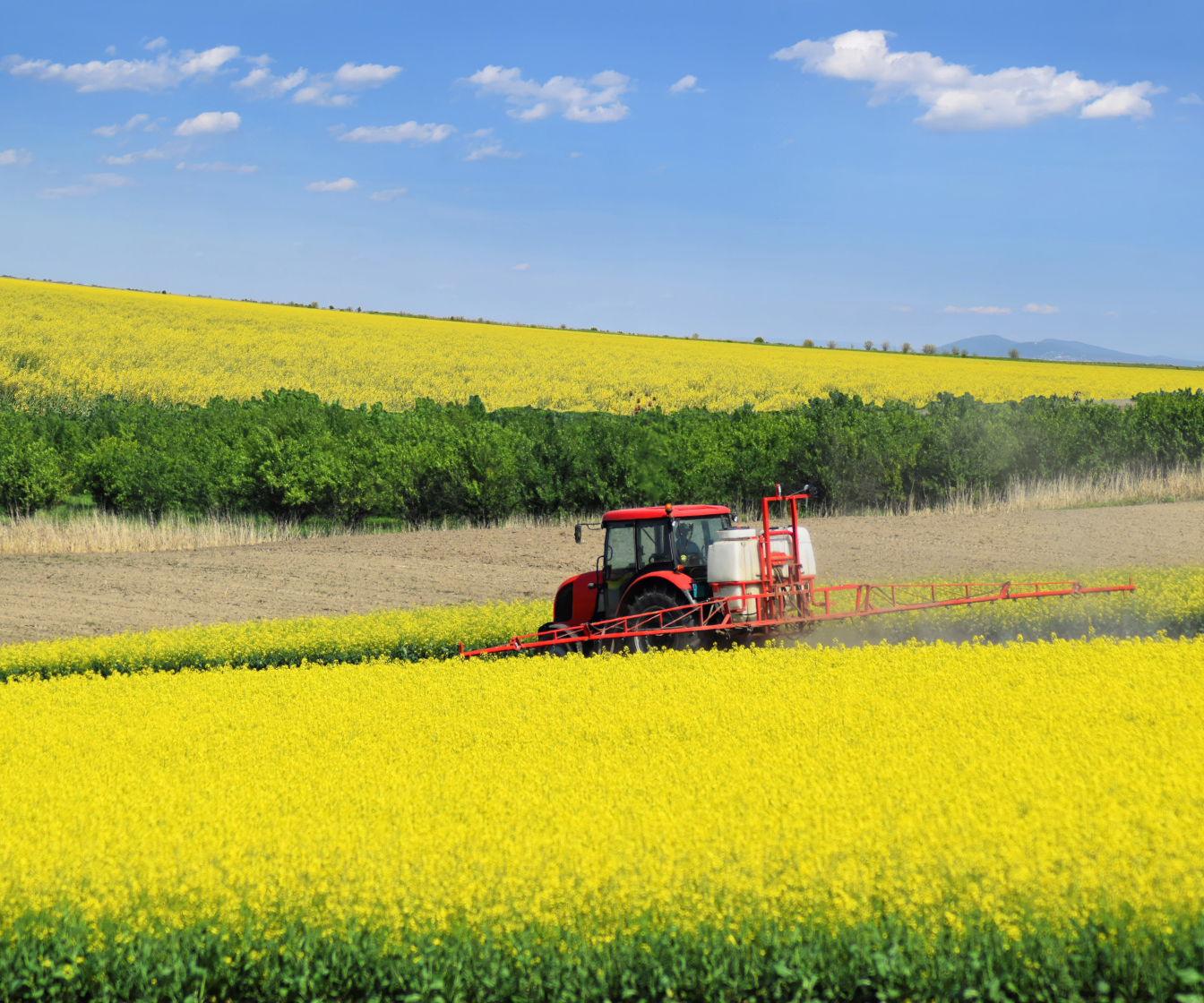 Nawożenie rzepaku wiosną – jaki nawóz dolistny na rzepak wybrać?