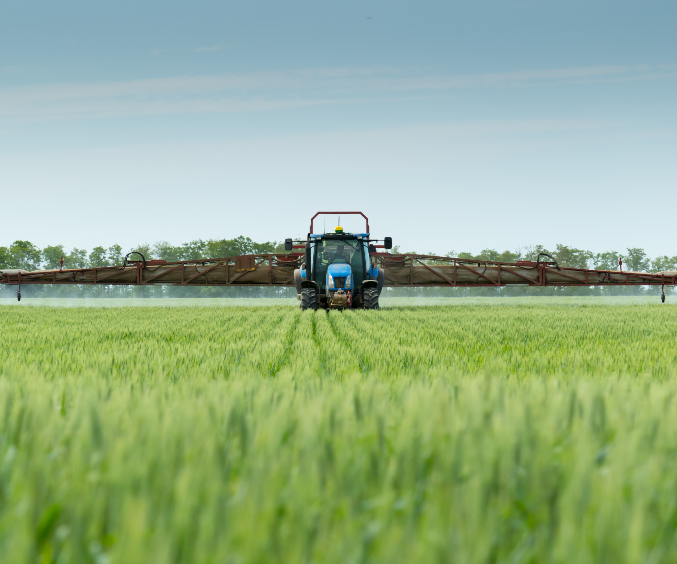 Kiedy stosować mikroelementy w zbożach?