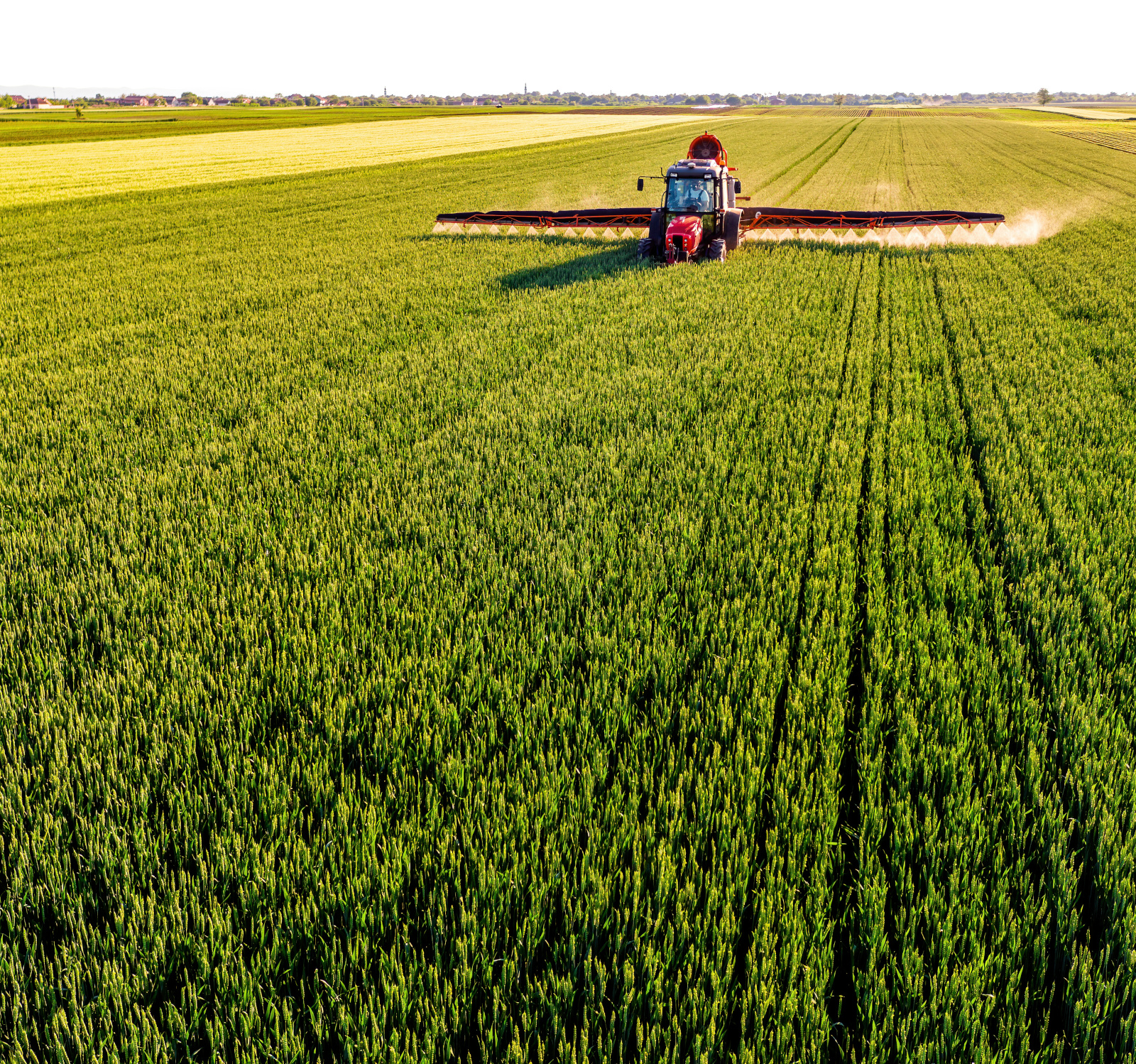 Dokarmianie dolistne zbóż wiosną połączone z zabiegiem T2
