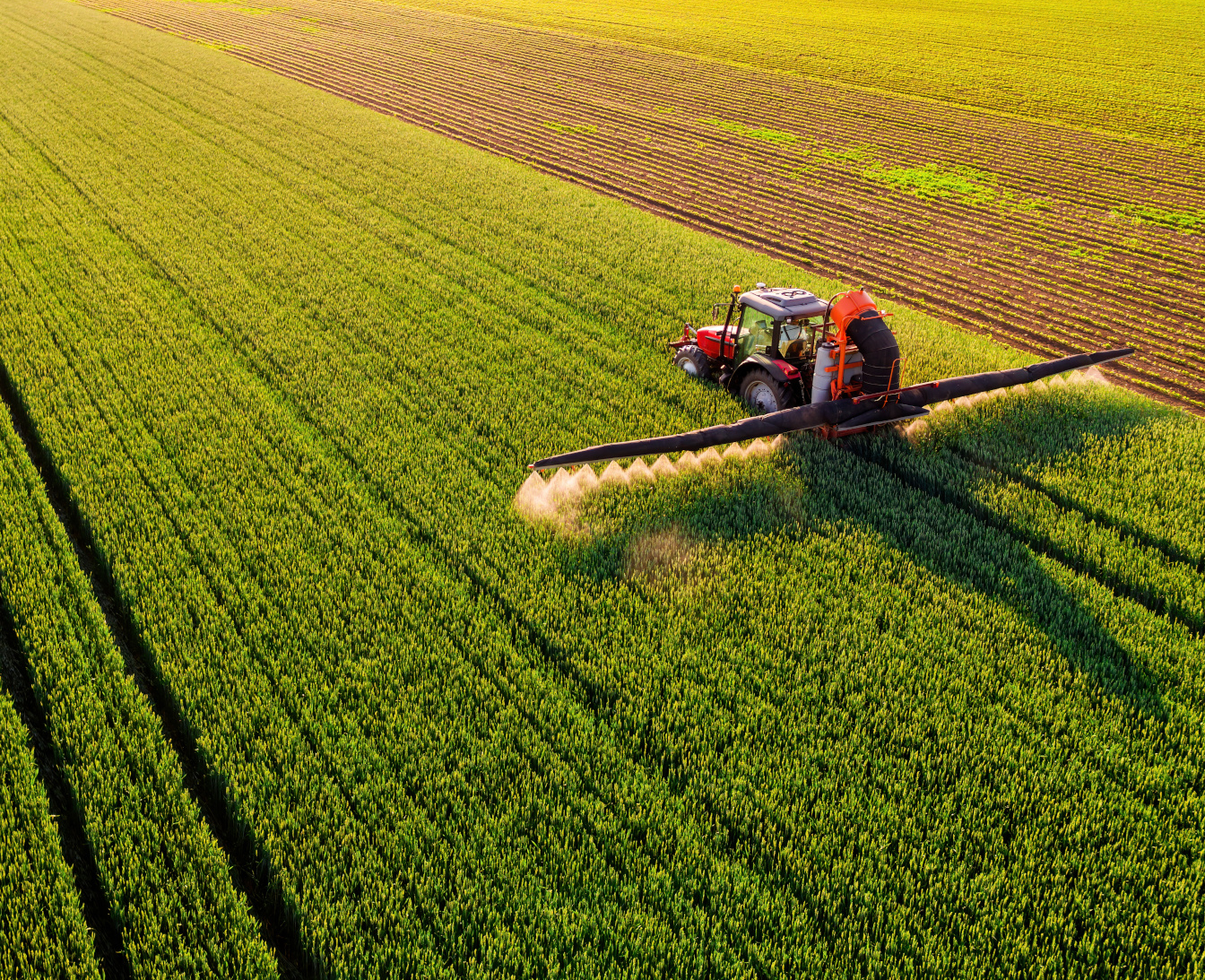 Jak działają nawozy dolistne i jak je stosować?