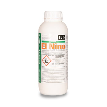 Clayton El Nino/1L
