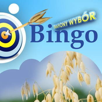 Owies Bingo C/1 a'800 kg