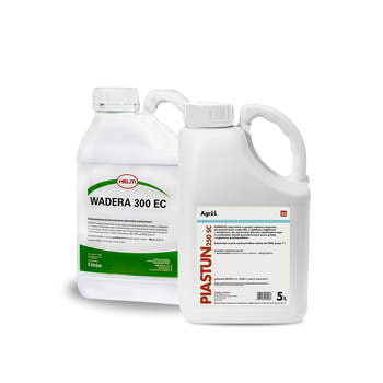 Wadera+Piastun/1L*5+5L*1
